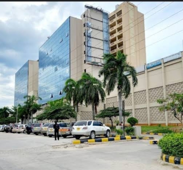 Tanzanite hall (ubungo Plaza)